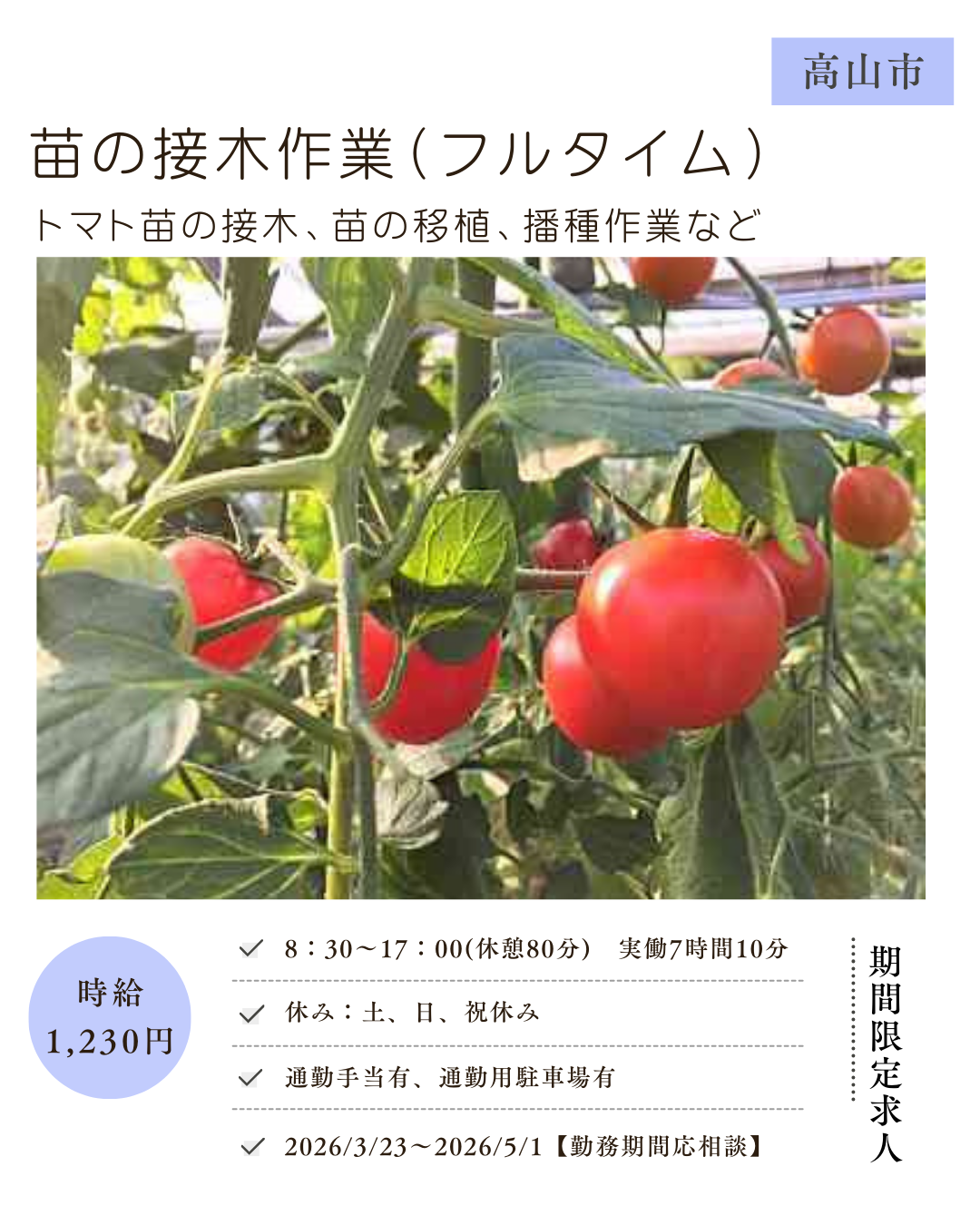 苗の接木作業(高山市)＜フルタイム＞